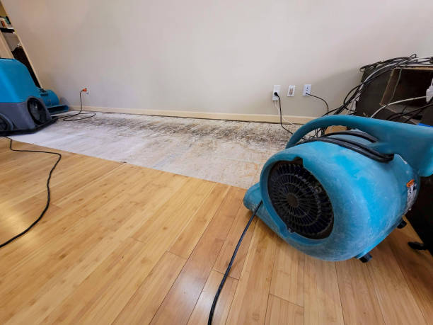 Professional Ceiling Water Damage Repair technician working in Biola, CA